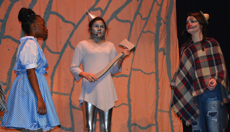 RRMS MidStage Mustangs production RRMS MidStage Mustangs production